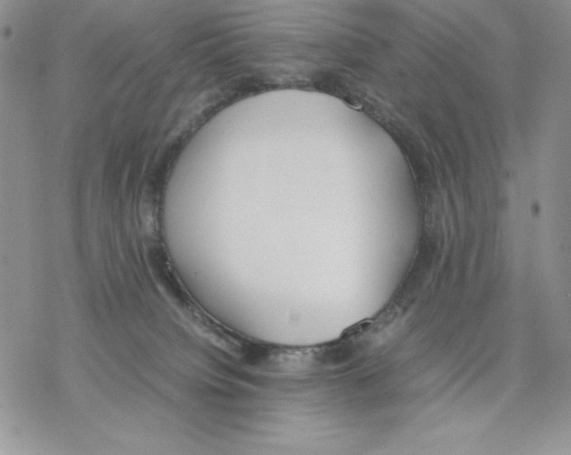 X0000077280084200611171613