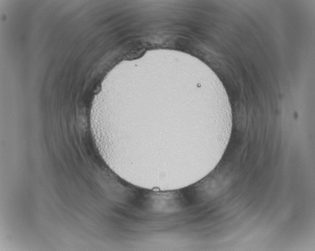 X0000077280085200611171613