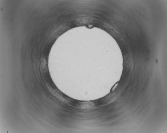 X0000077280087200611171613