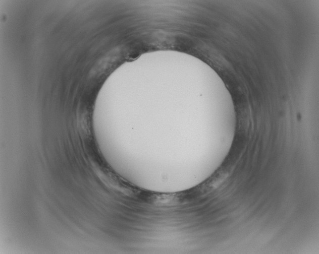 X0000077280088200611171613