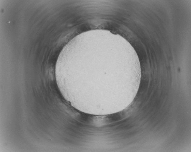 X0000077280090200611171613