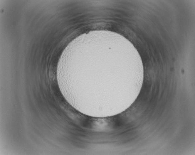 X0000077280091200611171613