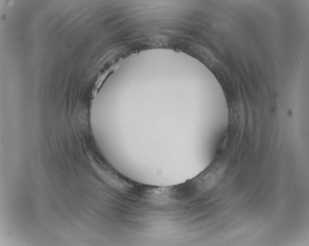 X0000077280092200611171613