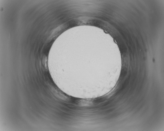 X0000077280094200611171613