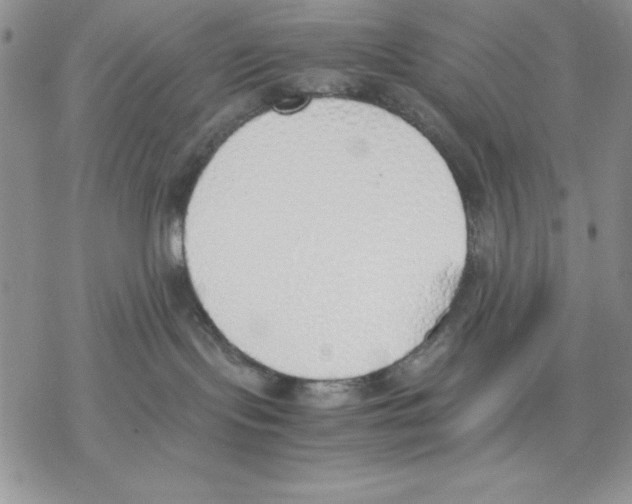 X0000077280095200611171613