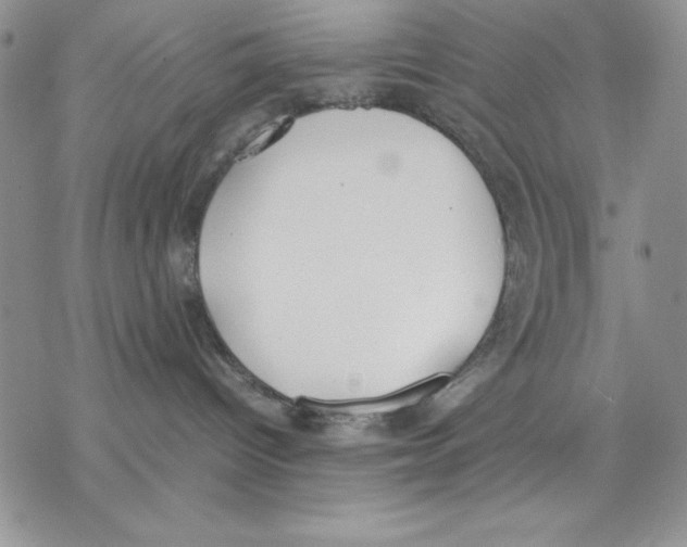 X0000077280096200611171613