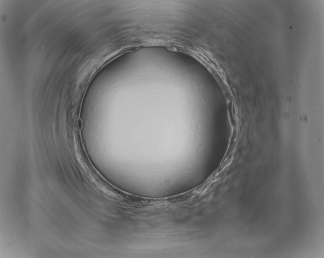 X0000077280097200611171612