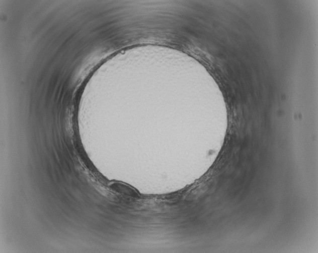 X0000077280098200611171612