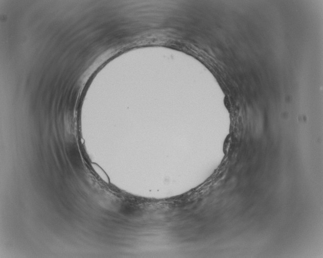 X0000077280100200611171612