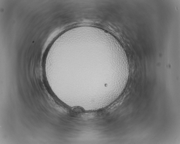 X0000077280102200611171612