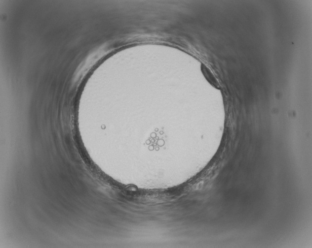 X0000077280103200611171612