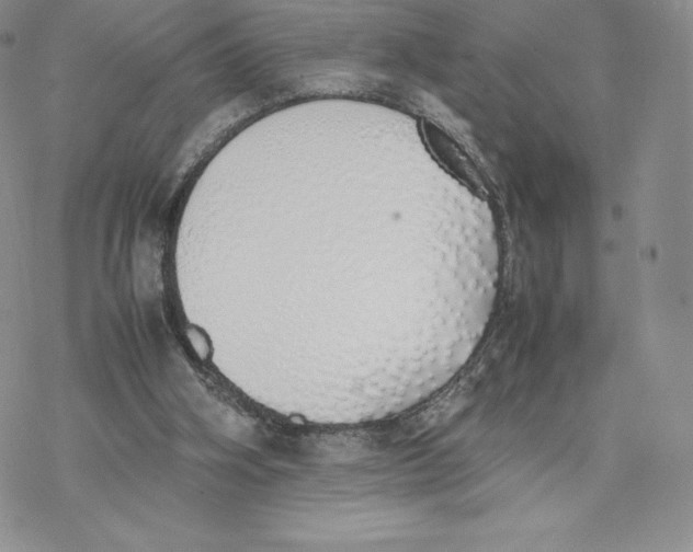 X0000077280106200611171612