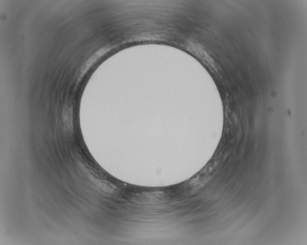 X0000077280108200611171612