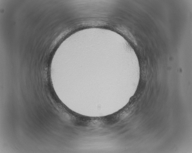 X0000077280111200611171612