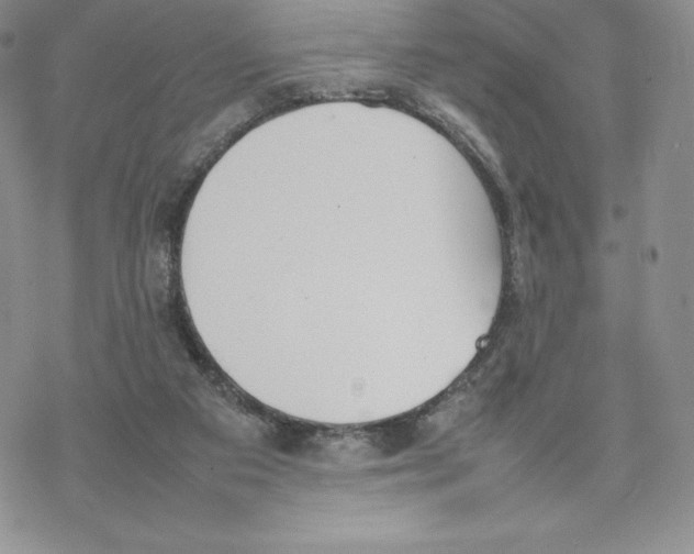 X0000077280113200611171612