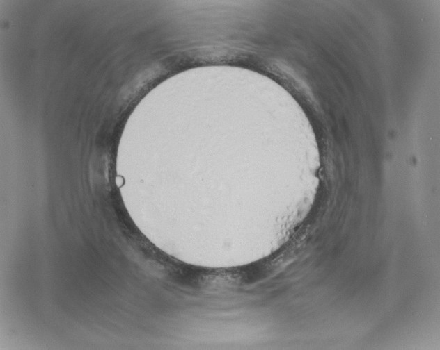 X0000077280115200611171612