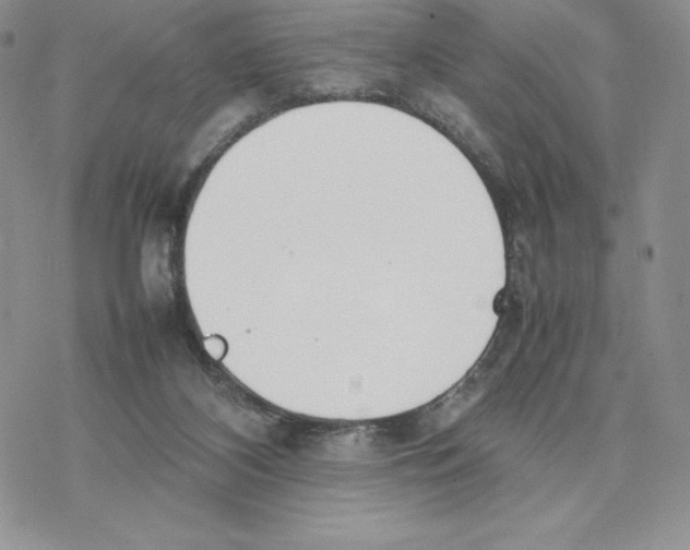 X0000077280116200611171612