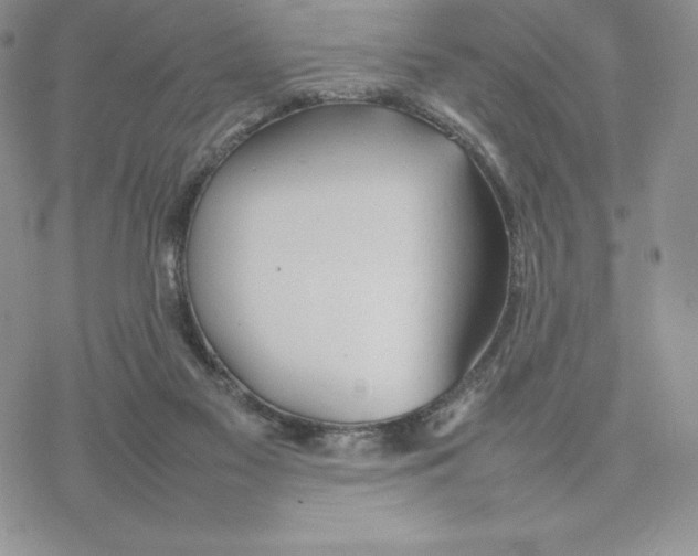 X0000077280117200611171612