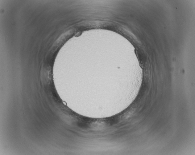 X0000077280119200611171612