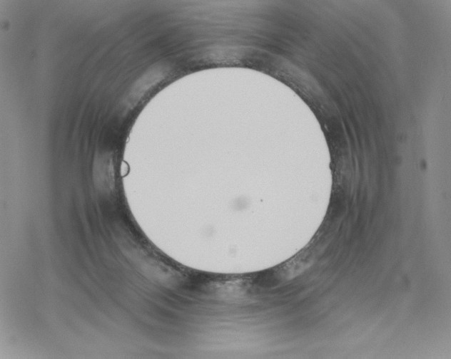 X0000077280120200611171612