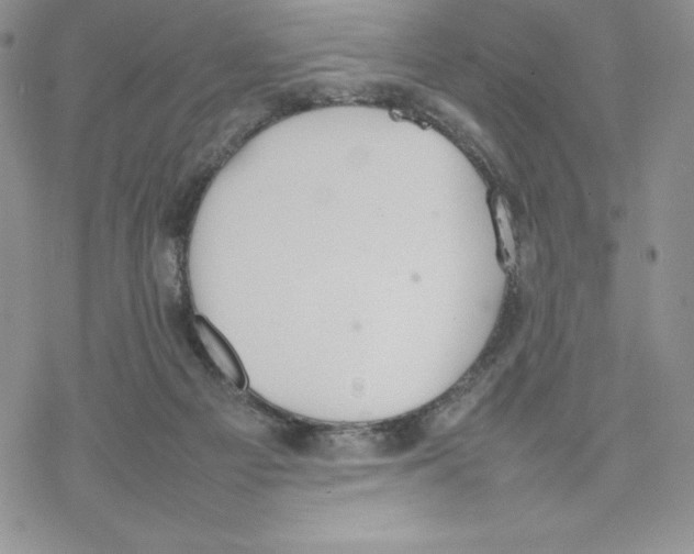 X0000077280121200611171612