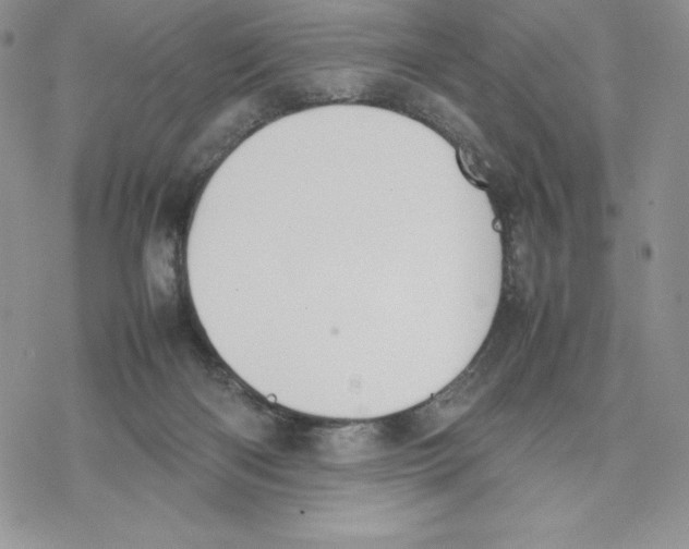 X0000077280122200611171612