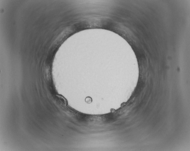 X0000077280123200611171612