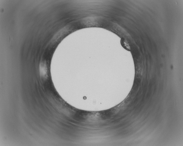 X0000077280124200611171612