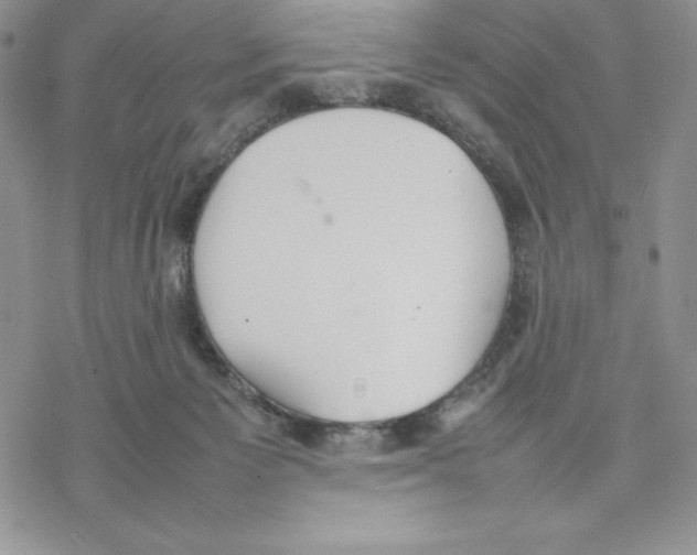 X0000077280125200611171612