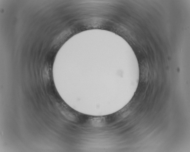 X0000077280126200611171612