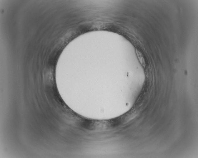 X0000077280127200611171612