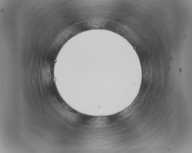 X0000077280128200611171612