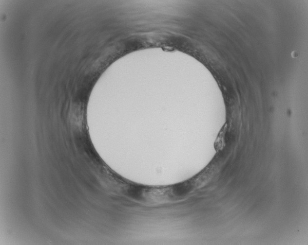 X0000077280129200611171612