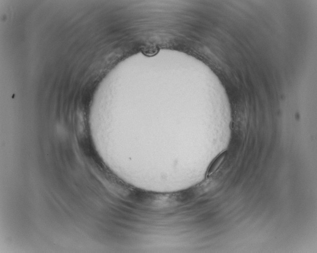 X0000077280130200611171612