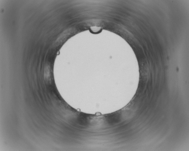 X0000077280132200611171612