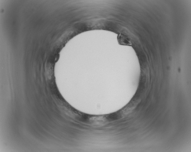 X0000077280133200611171612