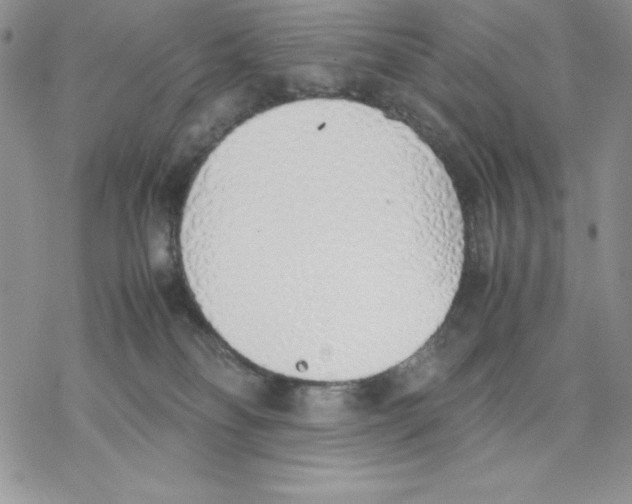 X0000077280134200611171612