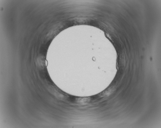 X0000077280135200611171611