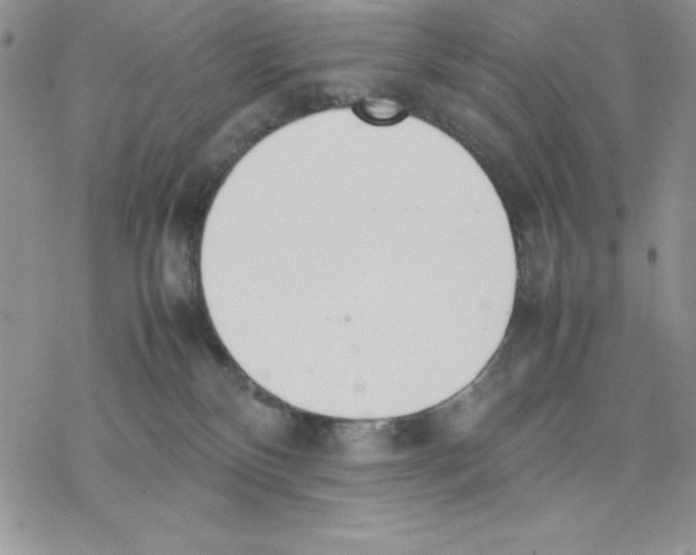 X0000077280136200611171611