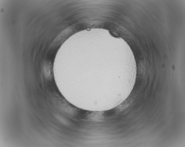 X0000077280138200611171611