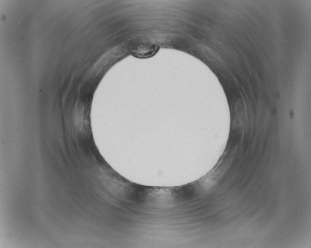 X0000077280140200611171611