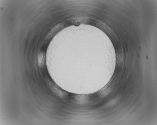 X0000077280142200611171611