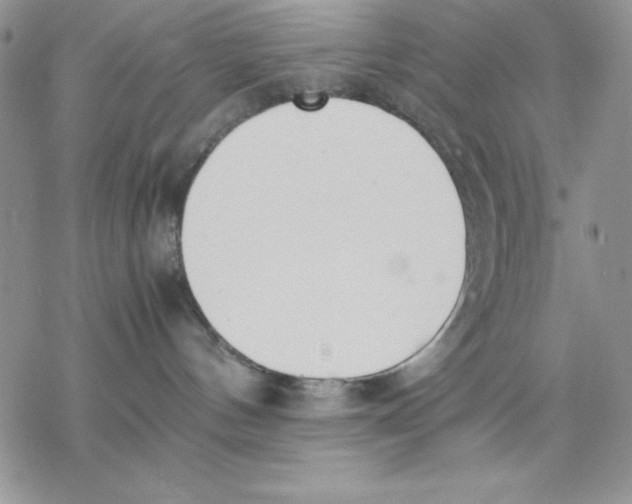 X0000077280144200611171611