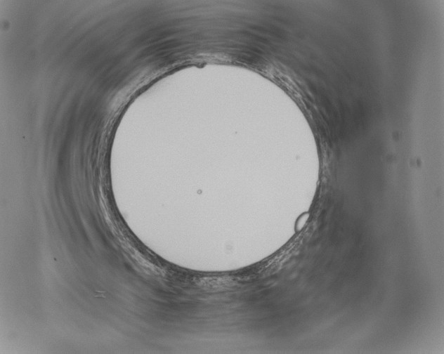 X0000077280145200611171611