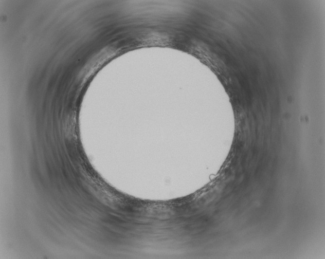 X0000077280146200611171611