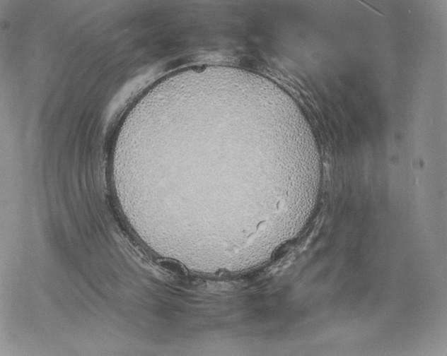 X0000077280149200611171611