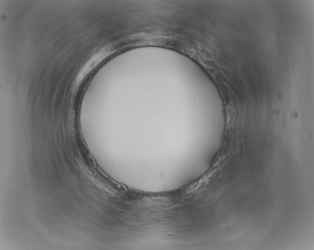 X0000077280150200611171611