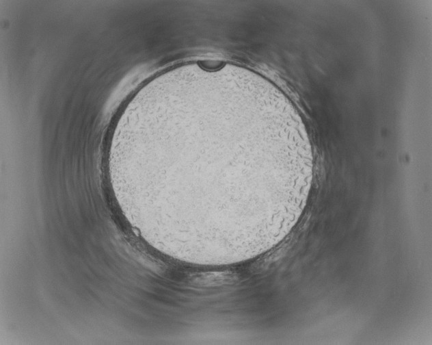 X0000077280151200611171611