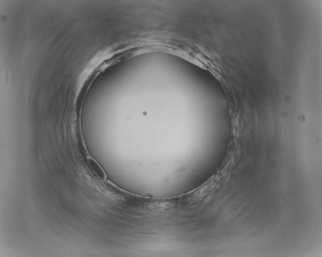 X0000077280152200611171611