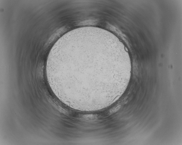 X0000077280153200611171611